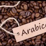 Washed Arabica Coffee – Plantation Grade (PL A / AA / PB)