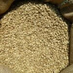 Monsooned Malabar Coffee (Arabica / Robusta)